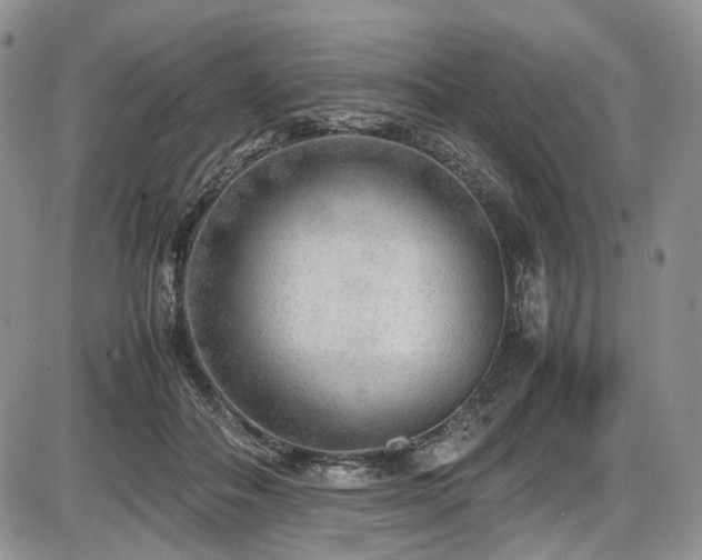 X0000087600506200704271336
