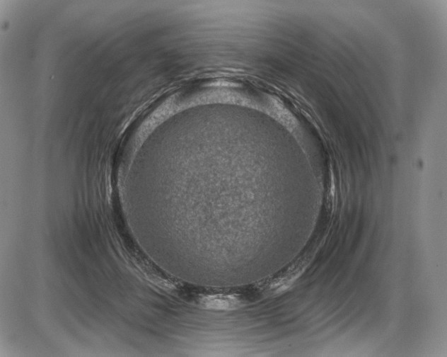 X0000087600508200704271336