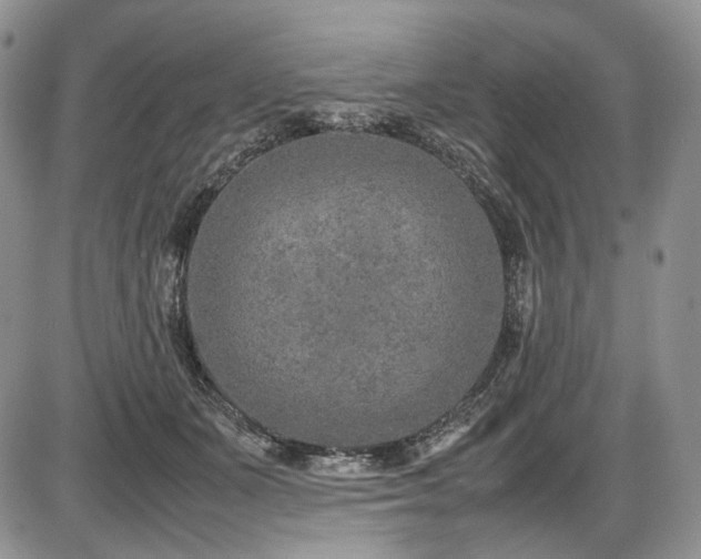 X0000087600511200704271335