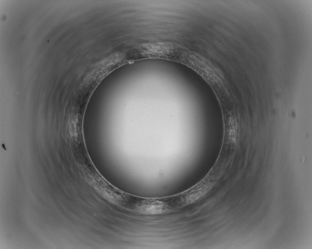 X0000087600514200704271335