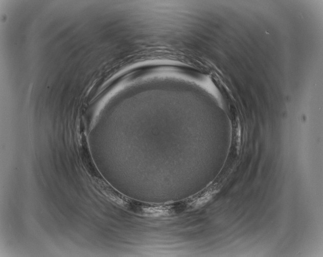 X0000087600516200704271335