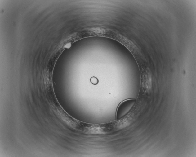 X0000087600518200704271335