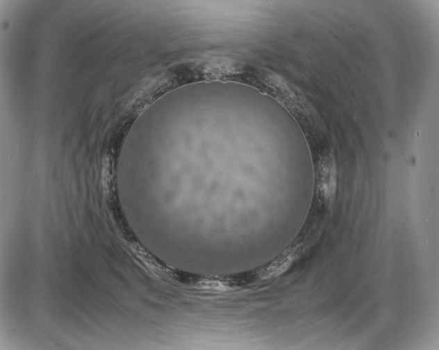 X0000087600519200704271335