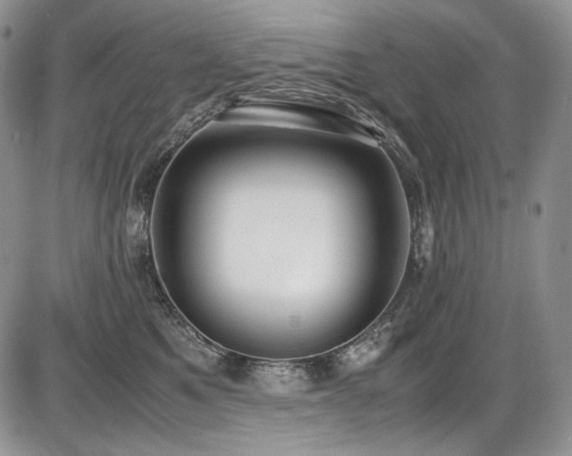 X0000087600521200704271335