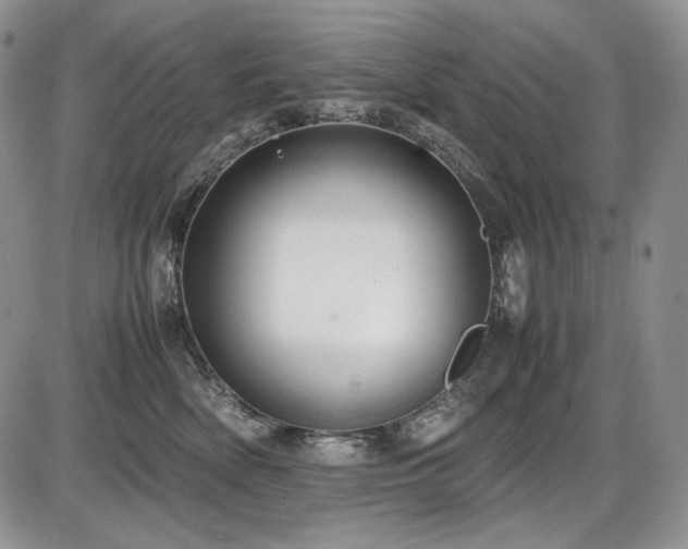 X0000087600522200704271335