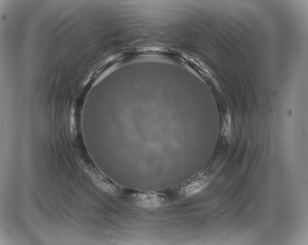 X0000087600524200704271335