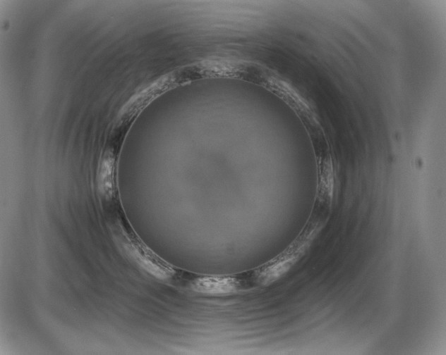X0000087600526200704271335