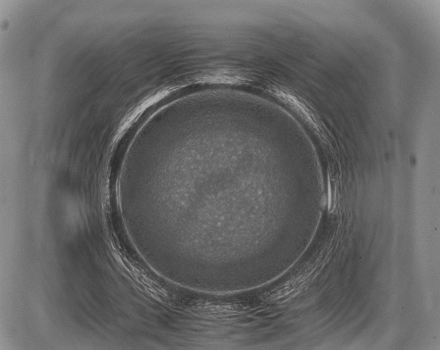 X0000087600531200704271334