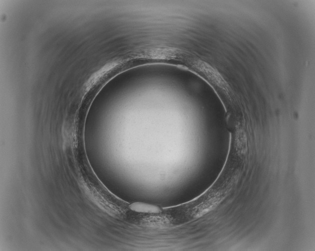 X0000087600536200704271335