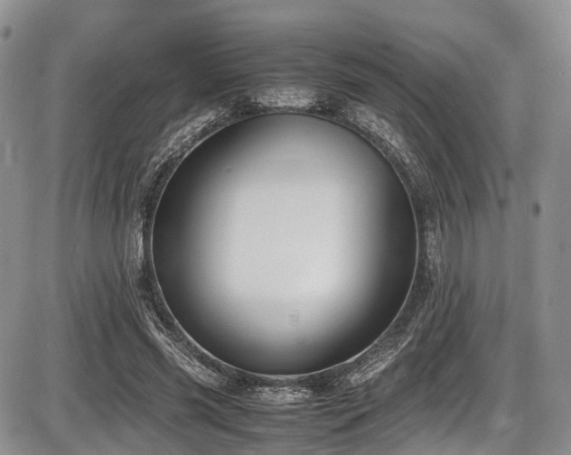 X0000087600541200704271335