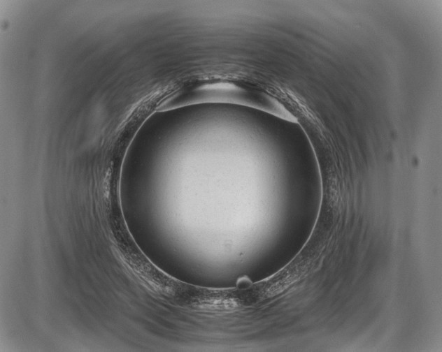 X0000087600543200704271335
