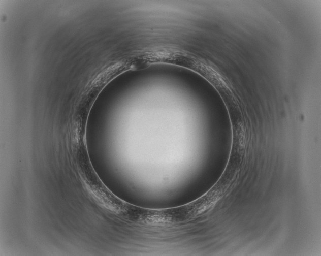 X0000087600546200704271335