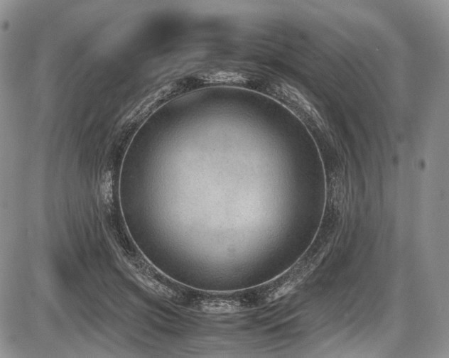 X0000087600549200704271335