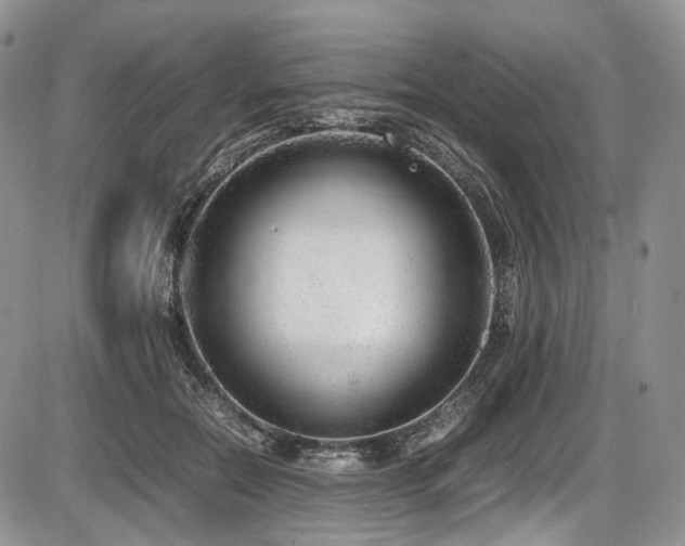 X0000087600554200704271335