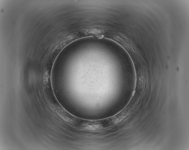 X0000087600555200704271335