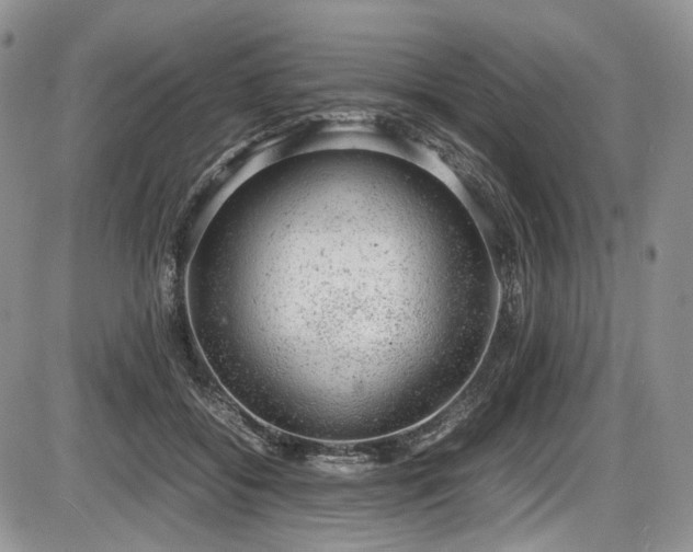 X0000087600556200704271335
