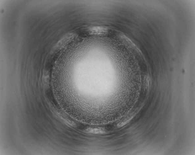 X0000087600557200704271335
