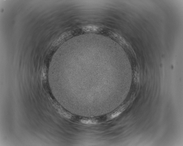 X0000087600561200704271335