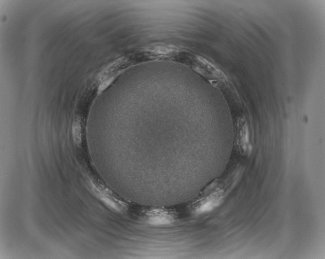 X0000087600562200704271335
