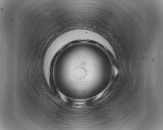X0000087600564200704271335