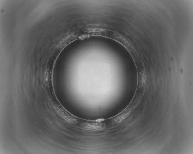 X0000087600567200704271335