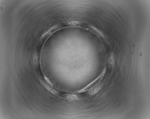 X0000087600572200704271335