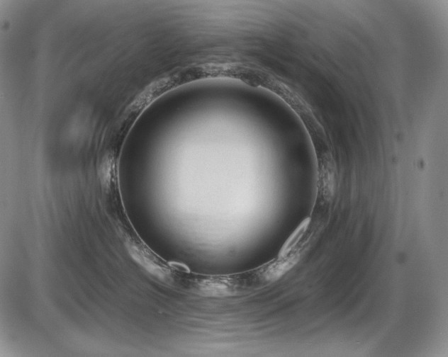 X0000087600574200704271335