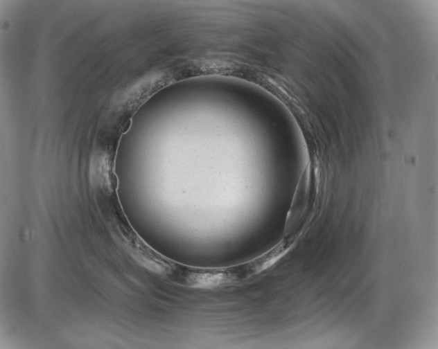 X0000087600575200704271335