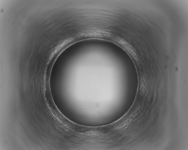 X0000087600578200704271334