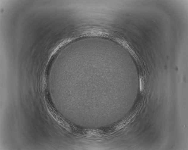 X0000087600579200704271334