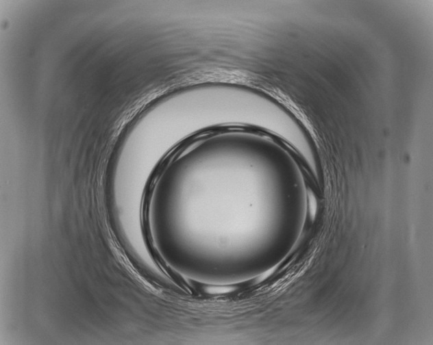 X0000087600581200704271334
