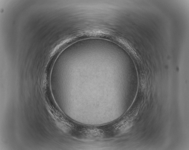 X0000087600583200704271334