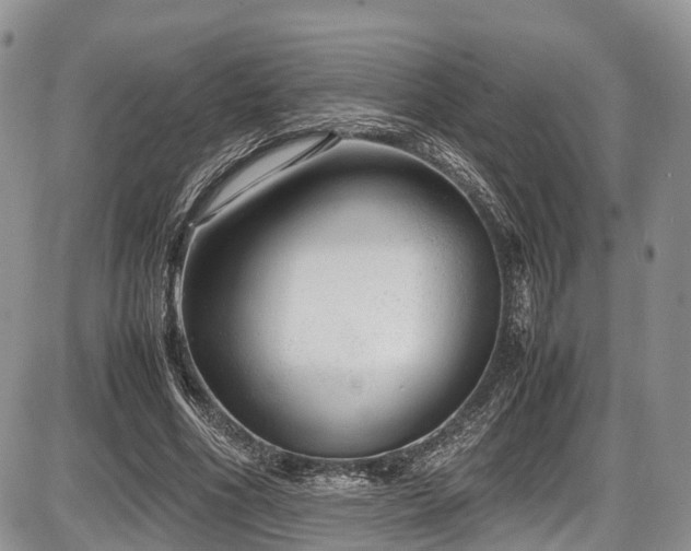 X0000087600586200704271334