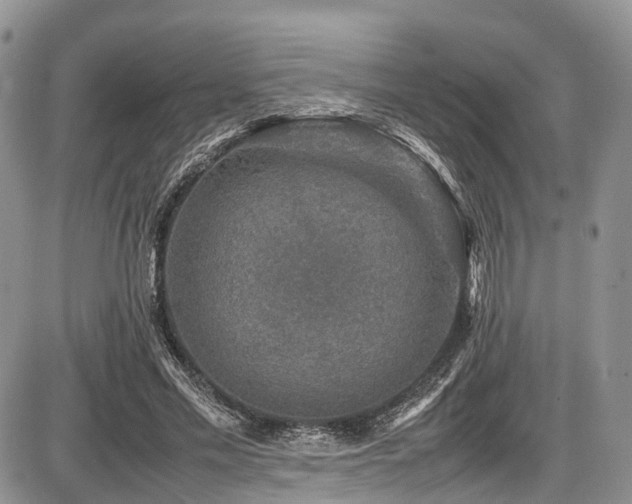 X0000087600589200704271334