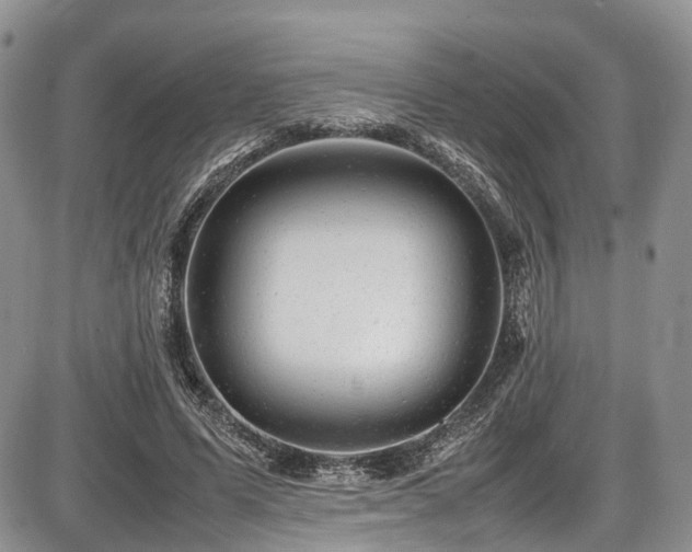 X0000087600591200704271334