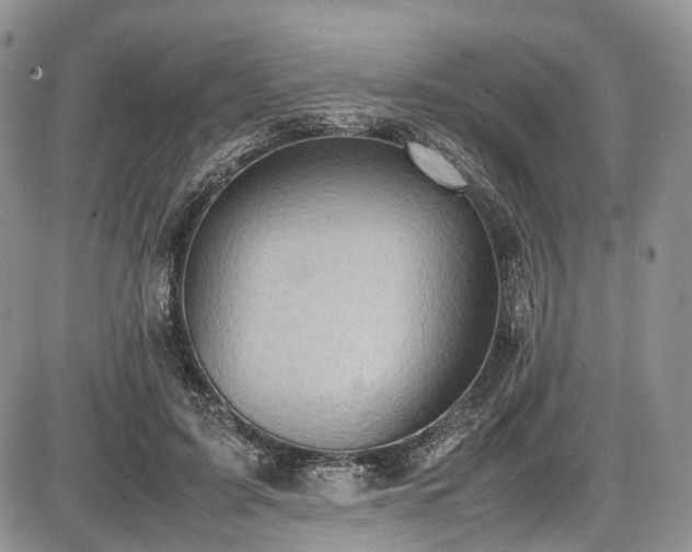 X0000087600595200704271334