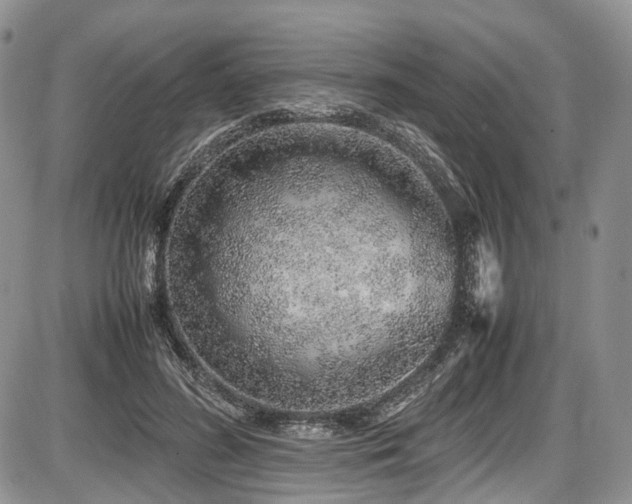 X0000087600596200704271334