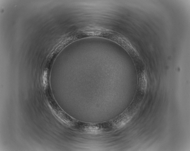X0000087600598200704271334
