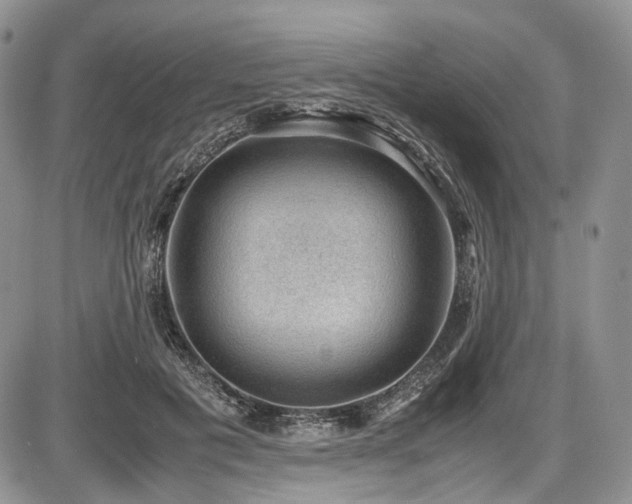 X0000087600601200704271334