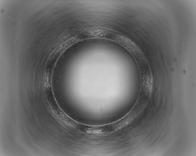 X0000087600602200704271334
