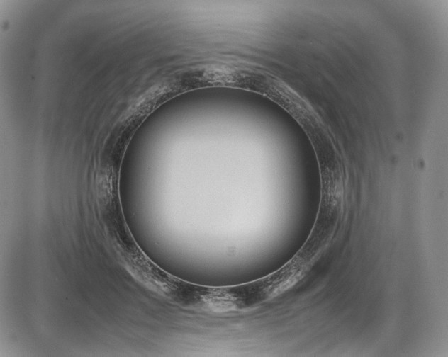 X0000087600603200704271334
