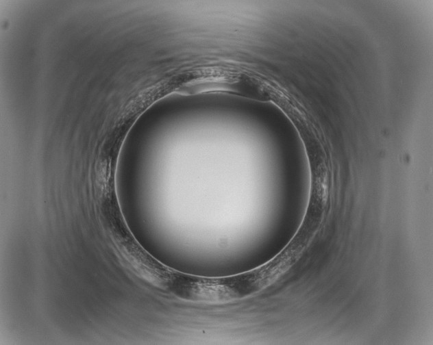 X0000087600605200704271334