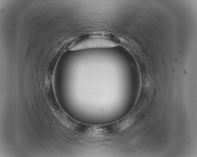 X0000087600607200704271334