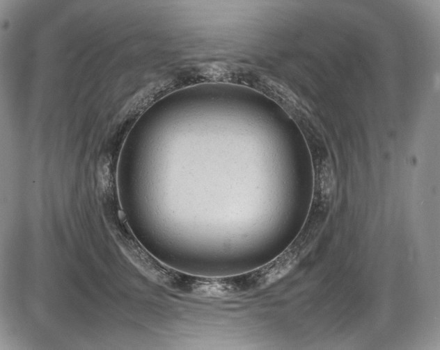 X0000087600611200704271334