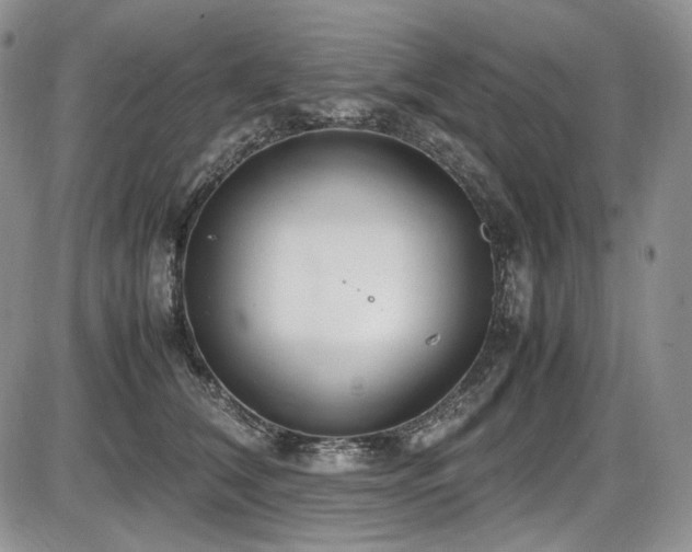 X0000087600612200704271334