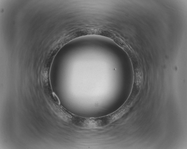 X0000087600613200704271334