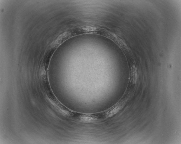X0000087600614200704271334