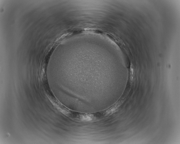 X0000087600618200704271334