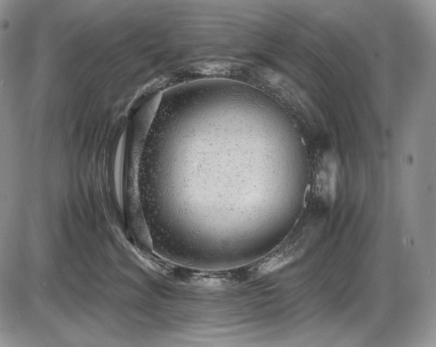 X0000087600620200704271334