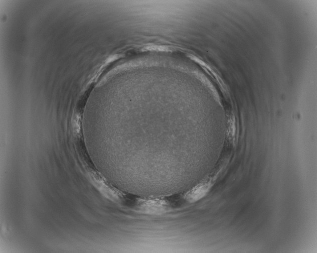 X0000087600621200704271334